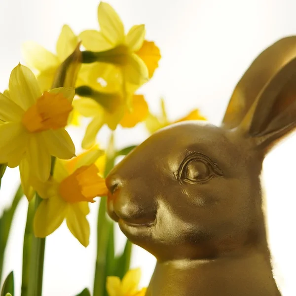 博彩论坛捕鱼游戏